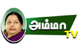 ammatv