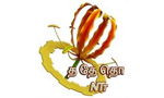 National TV of Tamil Eelam (NTT) has been launched
